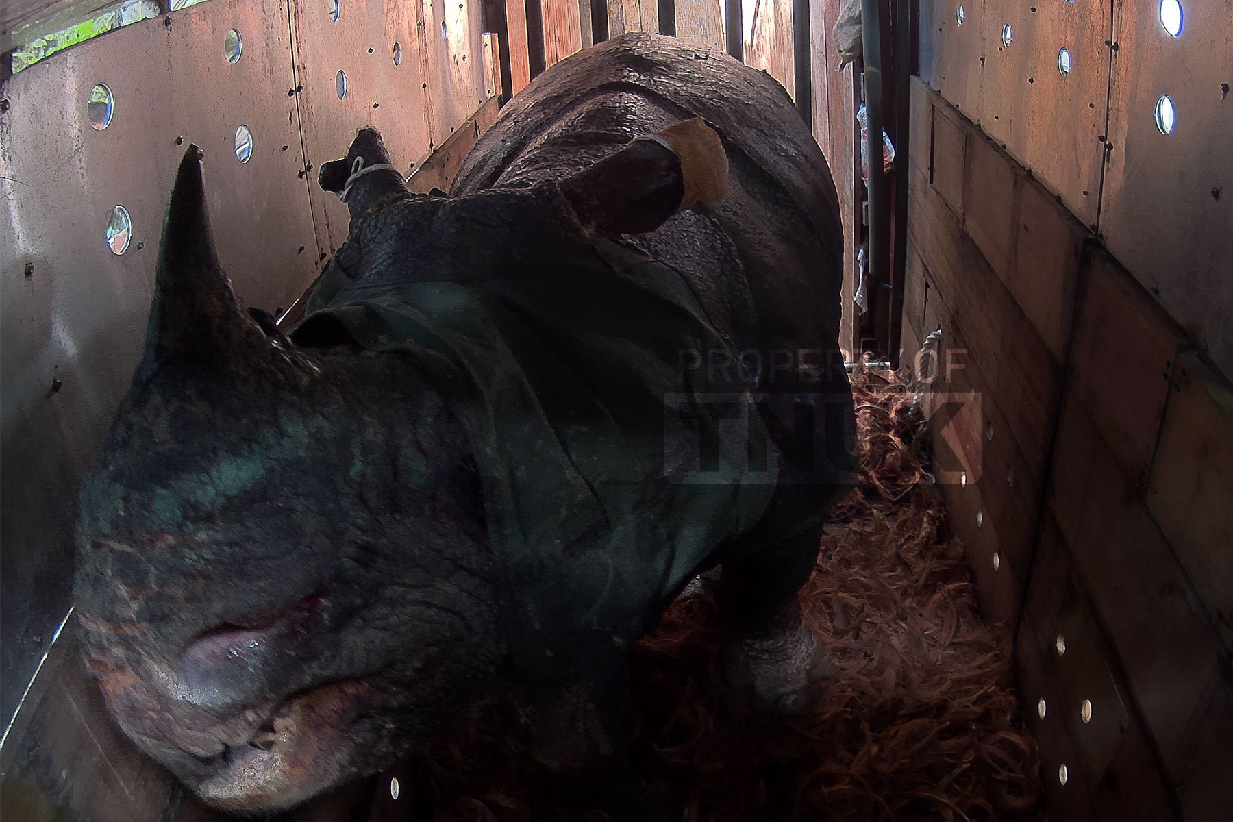 CR Kandang Angkut.png