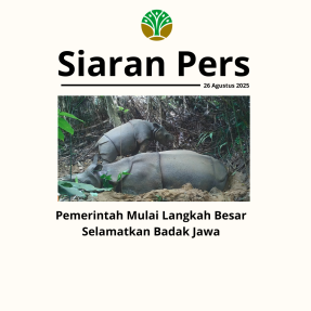 pemerintah-mulai-langkah-besar-selamatkan-badak-jawa
