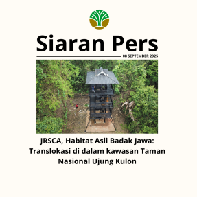 jrsca,-habitat-asli-badak-jawa:-translokasi-di-dalam-kawasan-taman-nasional-ujung-kulon