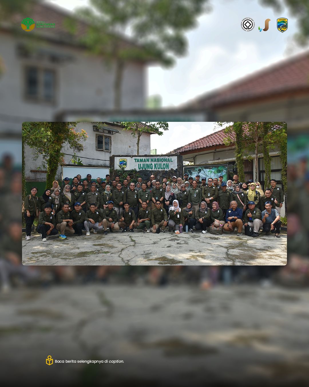 P2SEMH 5.jpeg